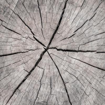Texture of a cracked tree stump