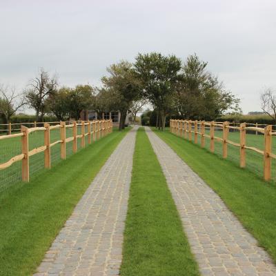 A path between cleaved chestnut fencing with 2 rails, square posts and a mesh fence on top