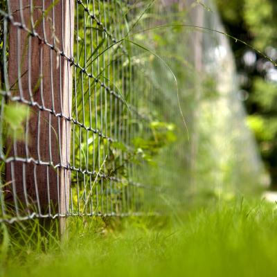 A close-up of a wire mesh fence with square robinia posts
