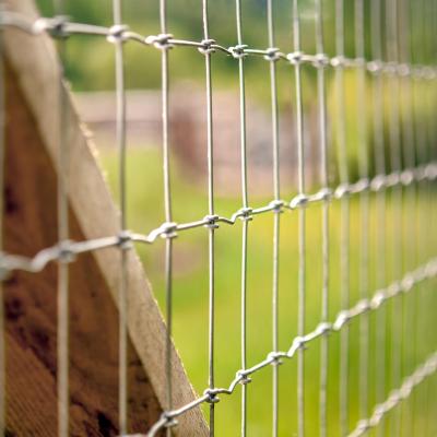 A close up to a wire mesh fence