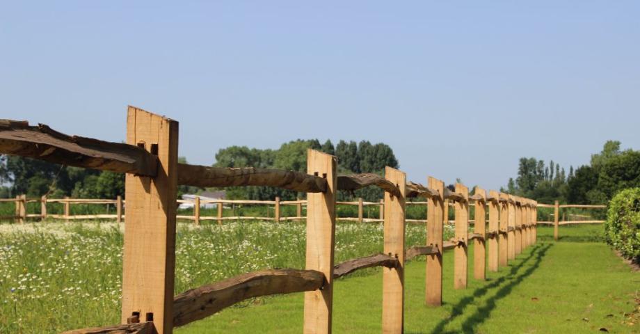 Split chestnut fence with square posts and 2 rails on a field