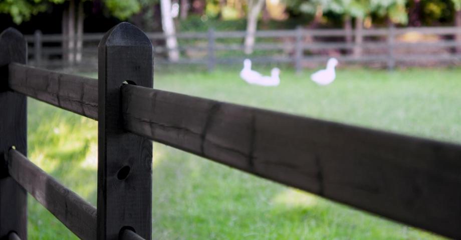 A black wooden fence for meadows where the boards slide through the black square posts.